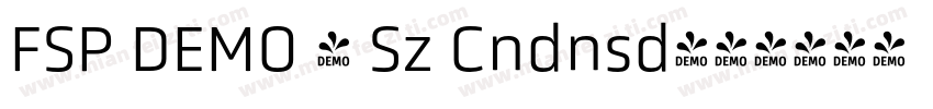 FSP DEMO - Sz Cndnsd字体转换
